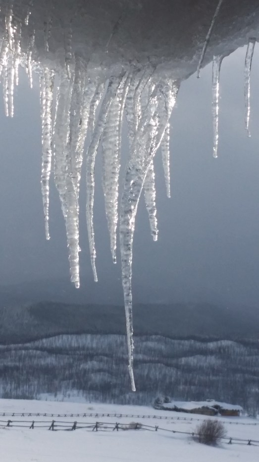 icicles by day
